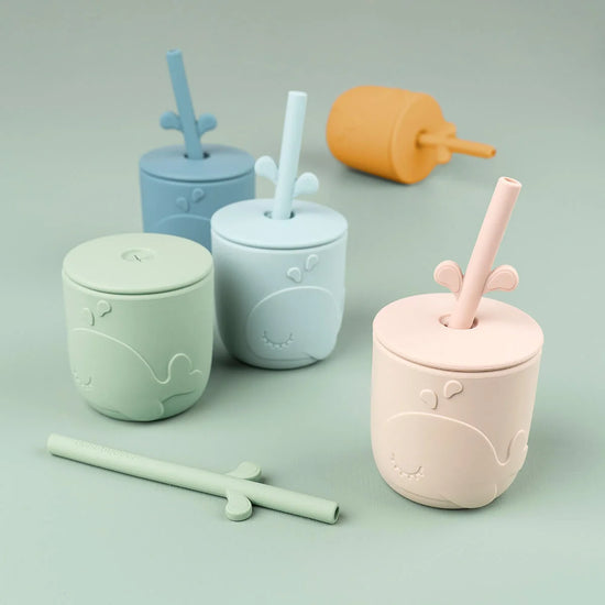 Peekaboo straw cup 2-pack Wally